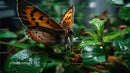 Close-up of a Vibrant Orange and Black Butterfly Resting on Green Foliage