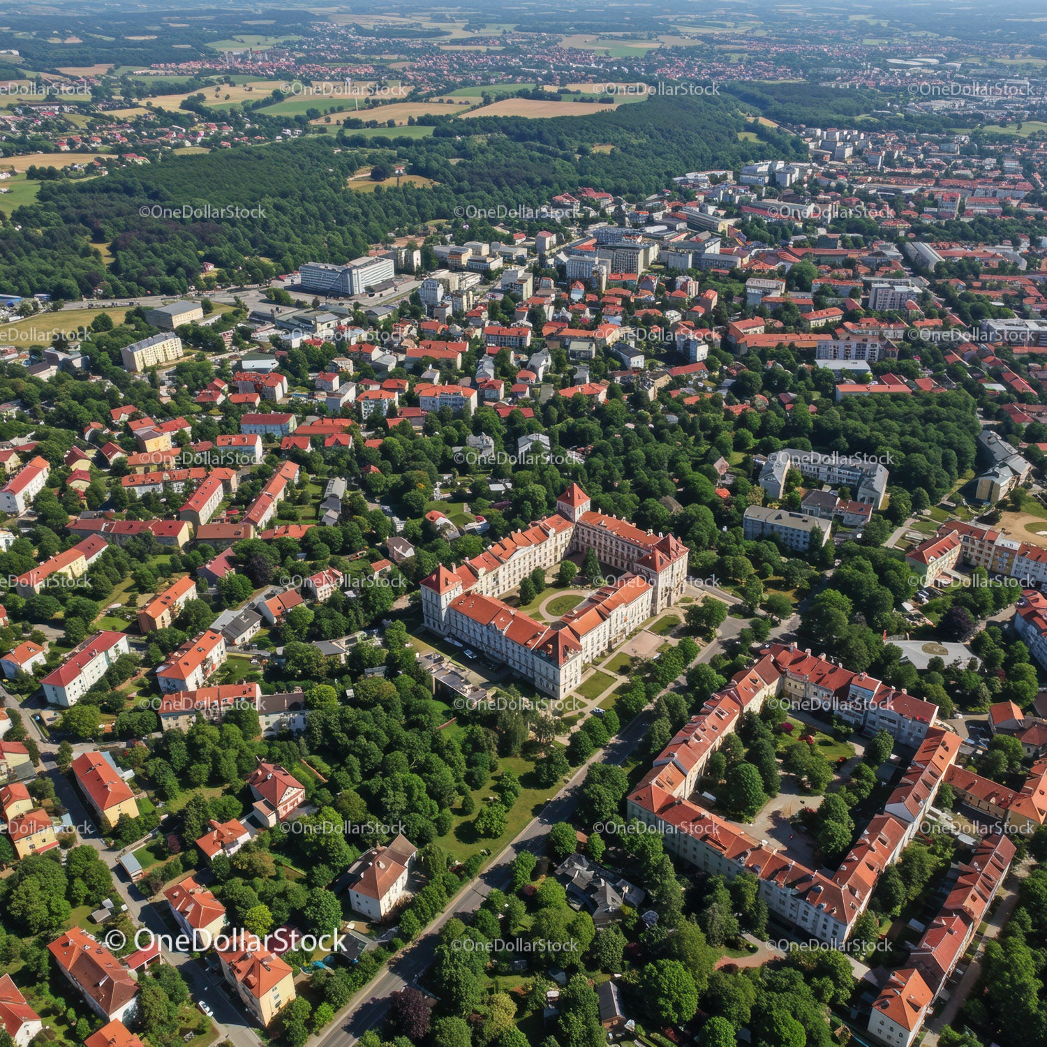 Widok z lotu ptaka na zabytkowy zamek i panoramę miasta z czerwonymi dachami i zielenią