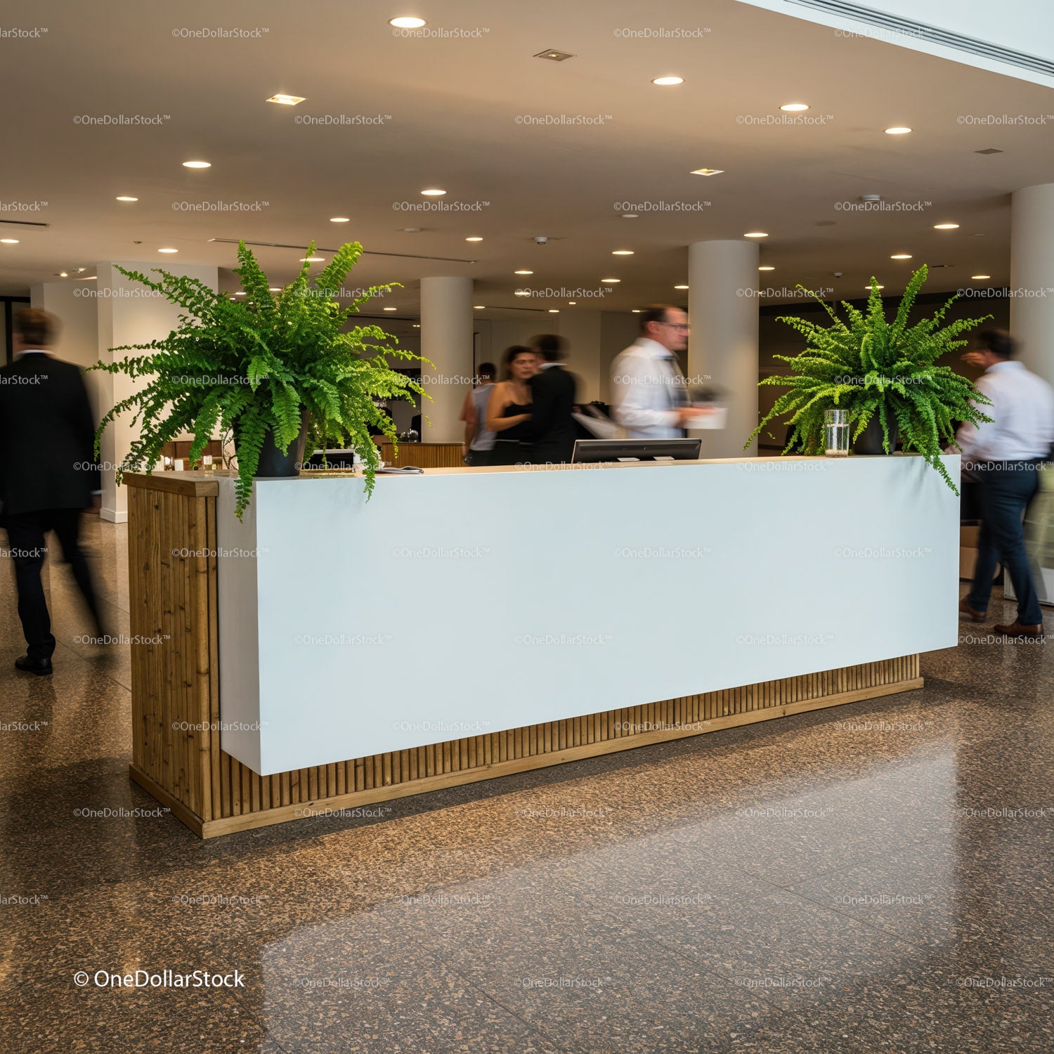 Modern reception desk with green plants in office lobby