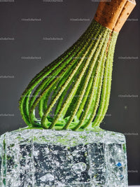 Green whisk resting on sparkling ice cube close up