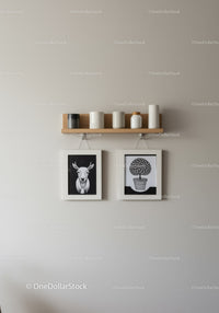 Minimalist Wall Art Display with Deer and Plant Illustrations in Modern Home