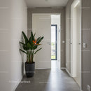 Modern Residential Hallway with Green Indoor Plant and Bright Natural Light