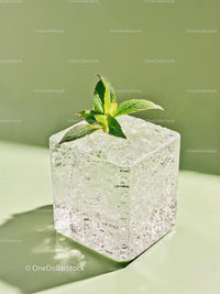 Refreshing ice cube with fresh mint on green surface