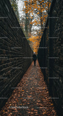 Solitary Walk Through a Narrow Autumn Alleyway