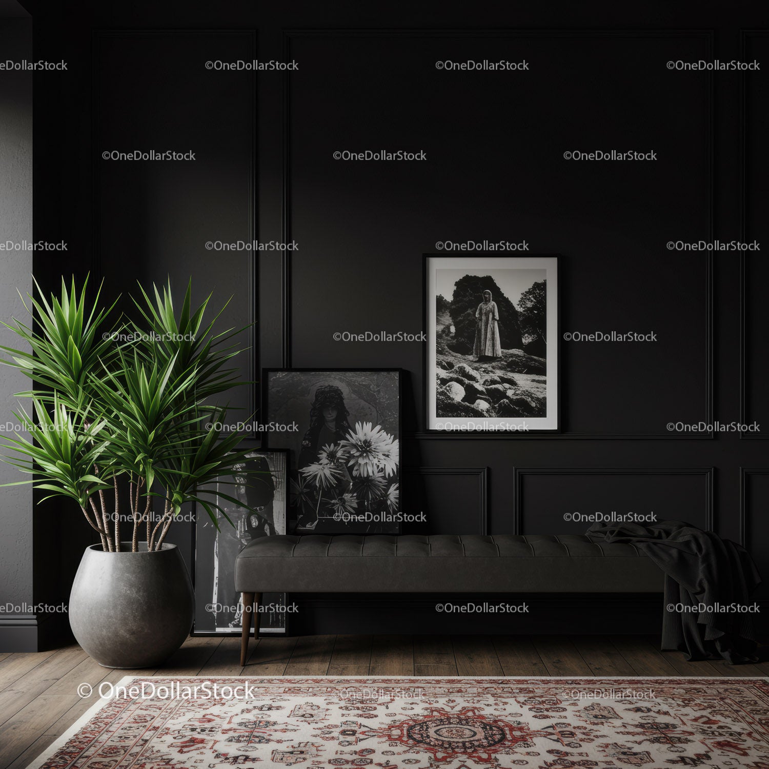 Black Wall Interior with Framed Art and Green Plant for Elegant Living Room