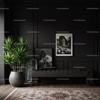Black Wall Interior with Framed Art and Green Plant for Elegant Living Room