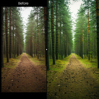 Before and after Forest Glow LUT Pack effect