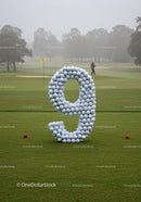 Number nine shaped from golf balls on green course
