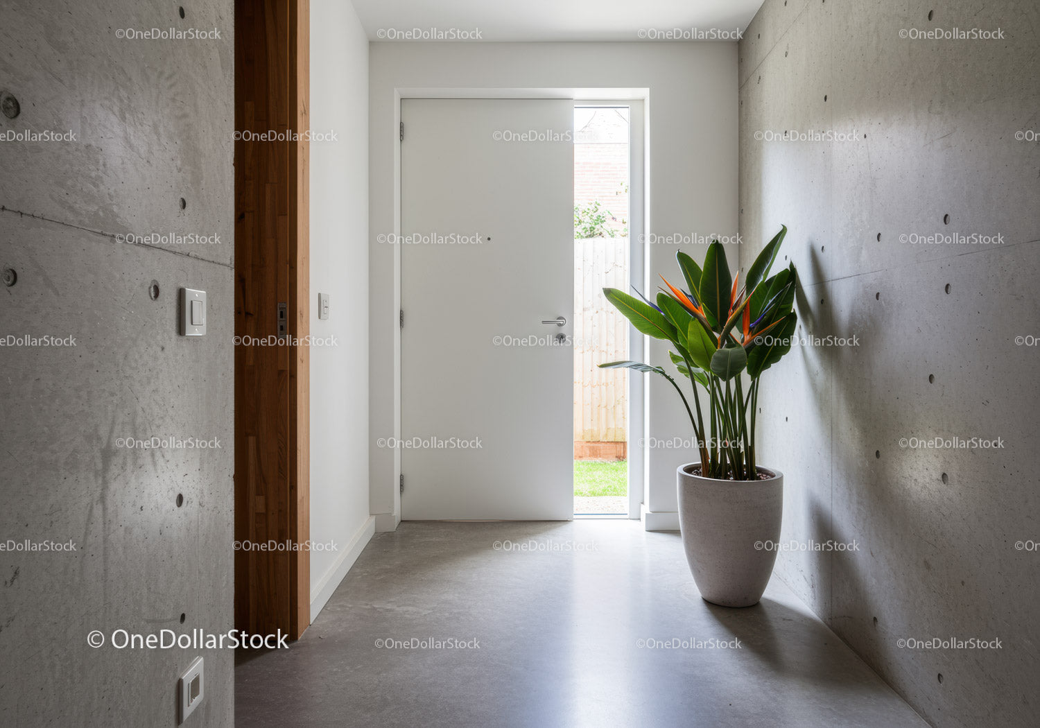 Modern Minimalist Hallway with Concrete Walls and Plant Decor