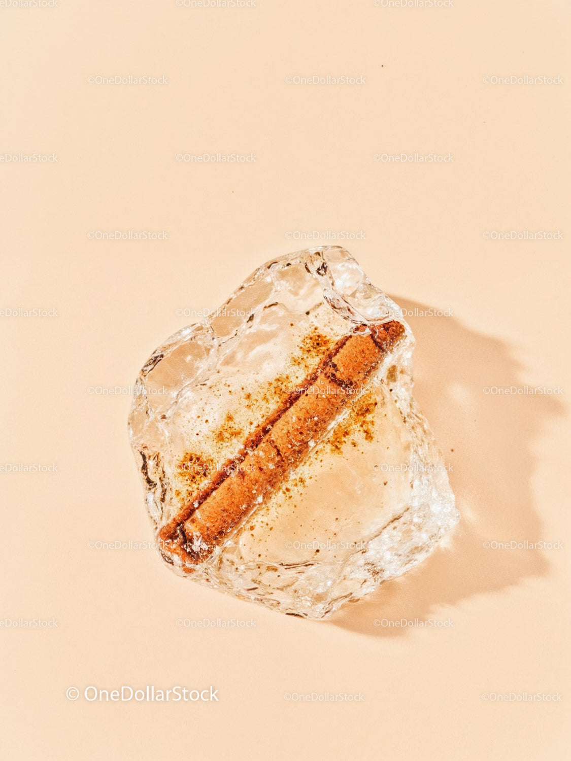 Cinnamon Stick Frozen Inside Clear Ice Cube