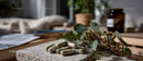 Herbs and Supplements on Stone with Green Eucalyptus Leaves
