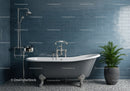 Classic clawfoot bathtub with modern shower setup