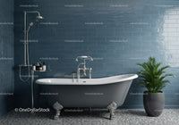 Classic clawfoot bathtub with modern shower setup