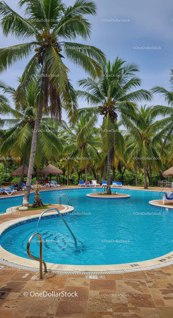 Tropical Pool with Palm Trees and Lounge Area in Resort Setting