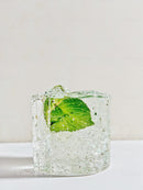 Fresh Mint Leaf Frozen Inside Clear Ice Cube