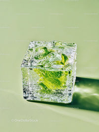 Fresh mint leaf encased in crystal clear ice cube