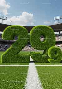 Sports Field Display of Twenty Nine Percent Grass Numbers