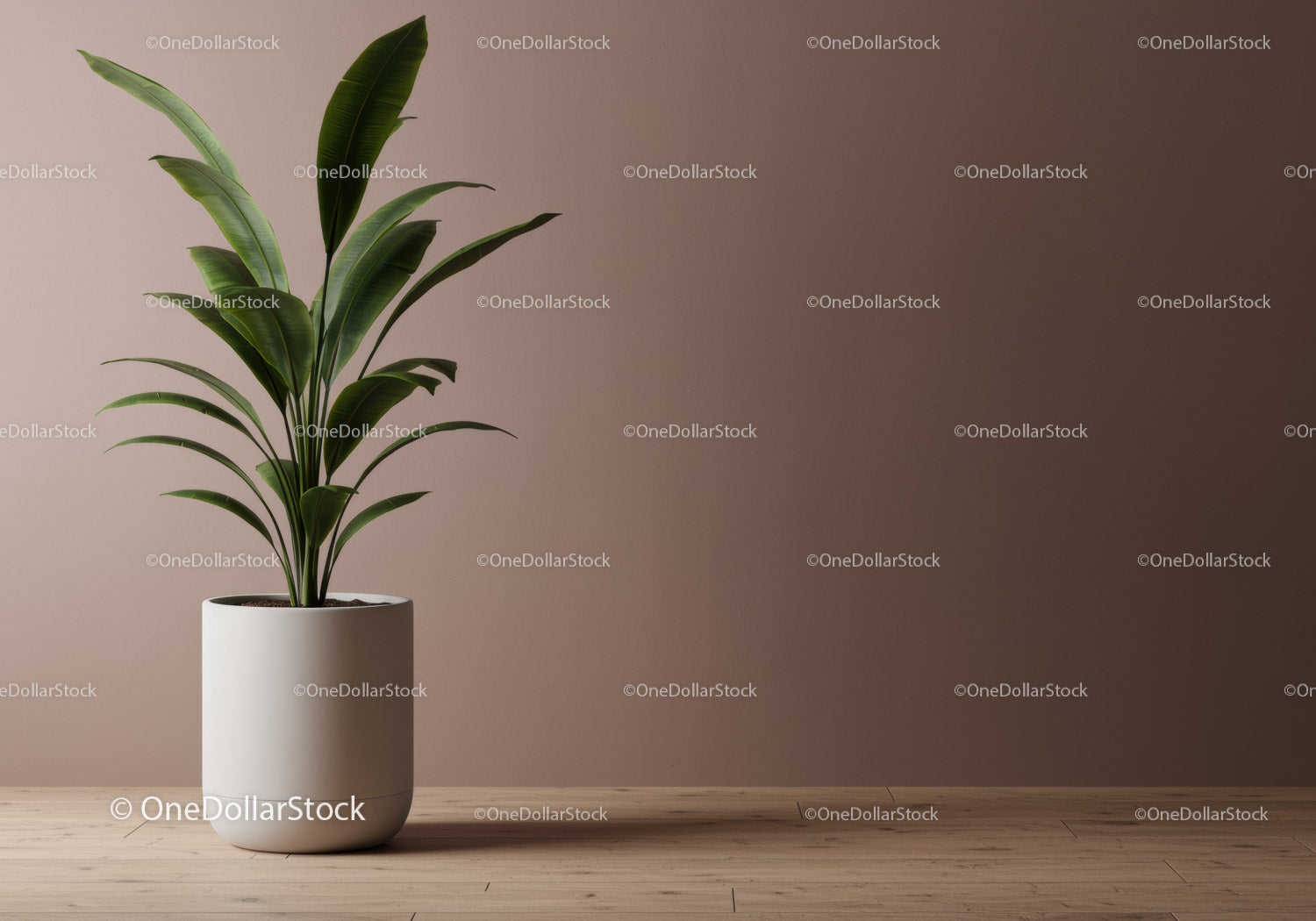 Elegant Green Houseplant in White Pot for Modern Interior Decor