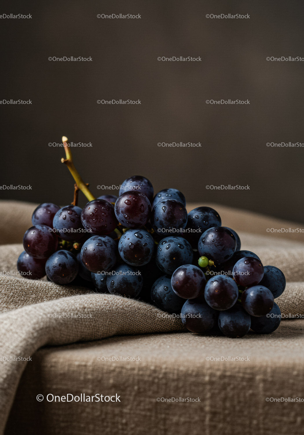 Fresh dark grapes resting on textured fabric surface