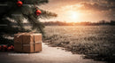 Rustic Christmas gift under decorated pine tree at sunset