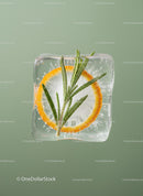 Ice cube with orange slice and rosemary herb