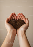 Hands gently holding granulated coffee against neutral background