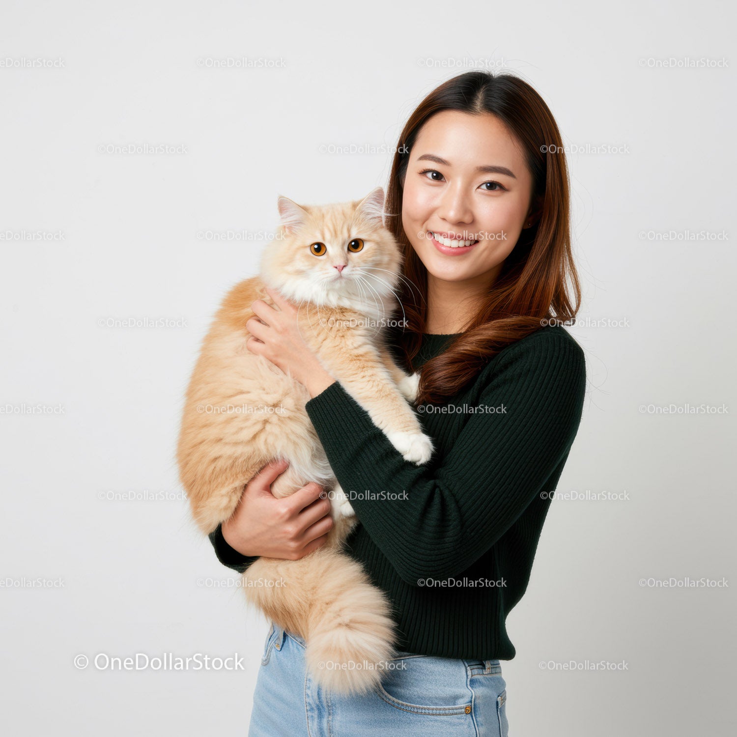 Smiling woman holding fluffy ginger cat indoors