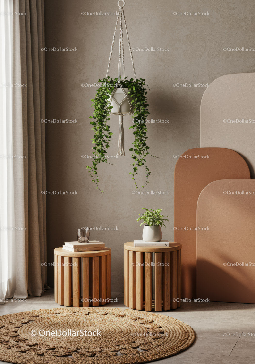 Indoor Hanging Potted Plant in Modern Minimalist Home Decor