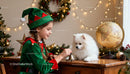 Girl in Elf Costume Playing with Dog During Christmas