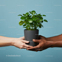 Two people holding a green potted plant together