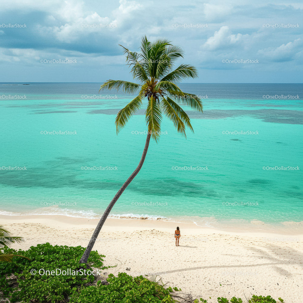 Lonely Traveler on a Tropical Beach Under a Palm Tree