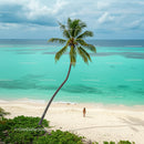 Lonely Traveler on a Tropical Beach Under a Palm Tree