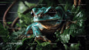 Close-Up of Vibrant Tree Frog in Lush Tropical Jungle