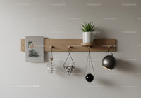 Stylish Modern Wall Shelf with Green Houseplant and Hanging Lights