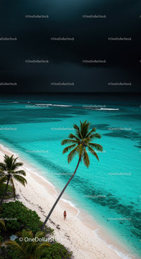 Serene Tropical Beach with Palm Tree and Turquoise Waters