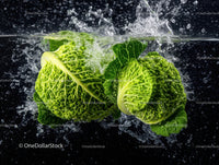 Fresh Green Romaine Lettuce Leafy Greens Splash in Water