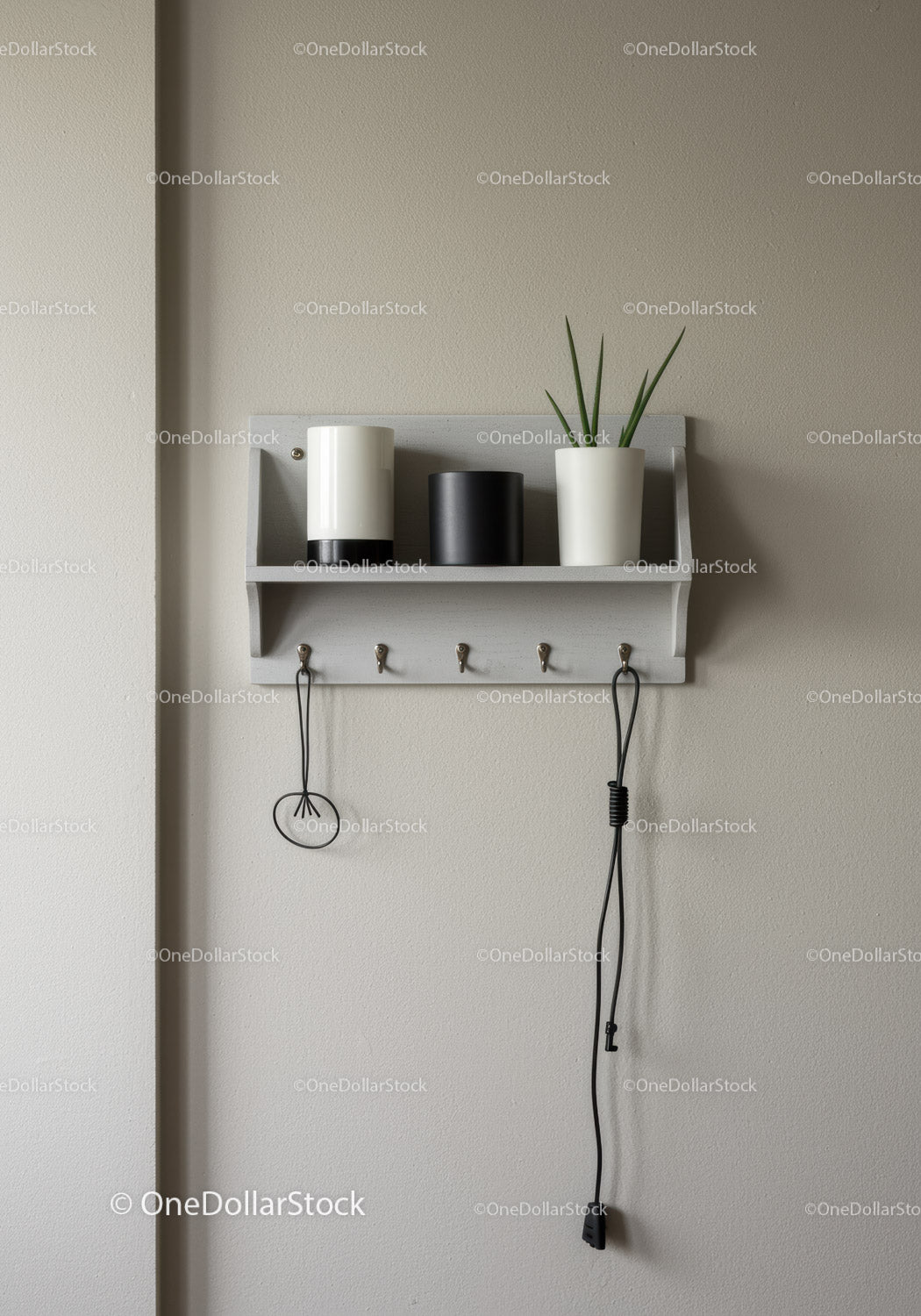 Minimalist Wall Shelf with White and Black Vases and Green Plant