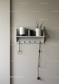 Minimalist Wall Shelf with White and Black Vases and Green Plant
