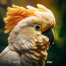 animal photography edit with Pets Warm Lightroom presets