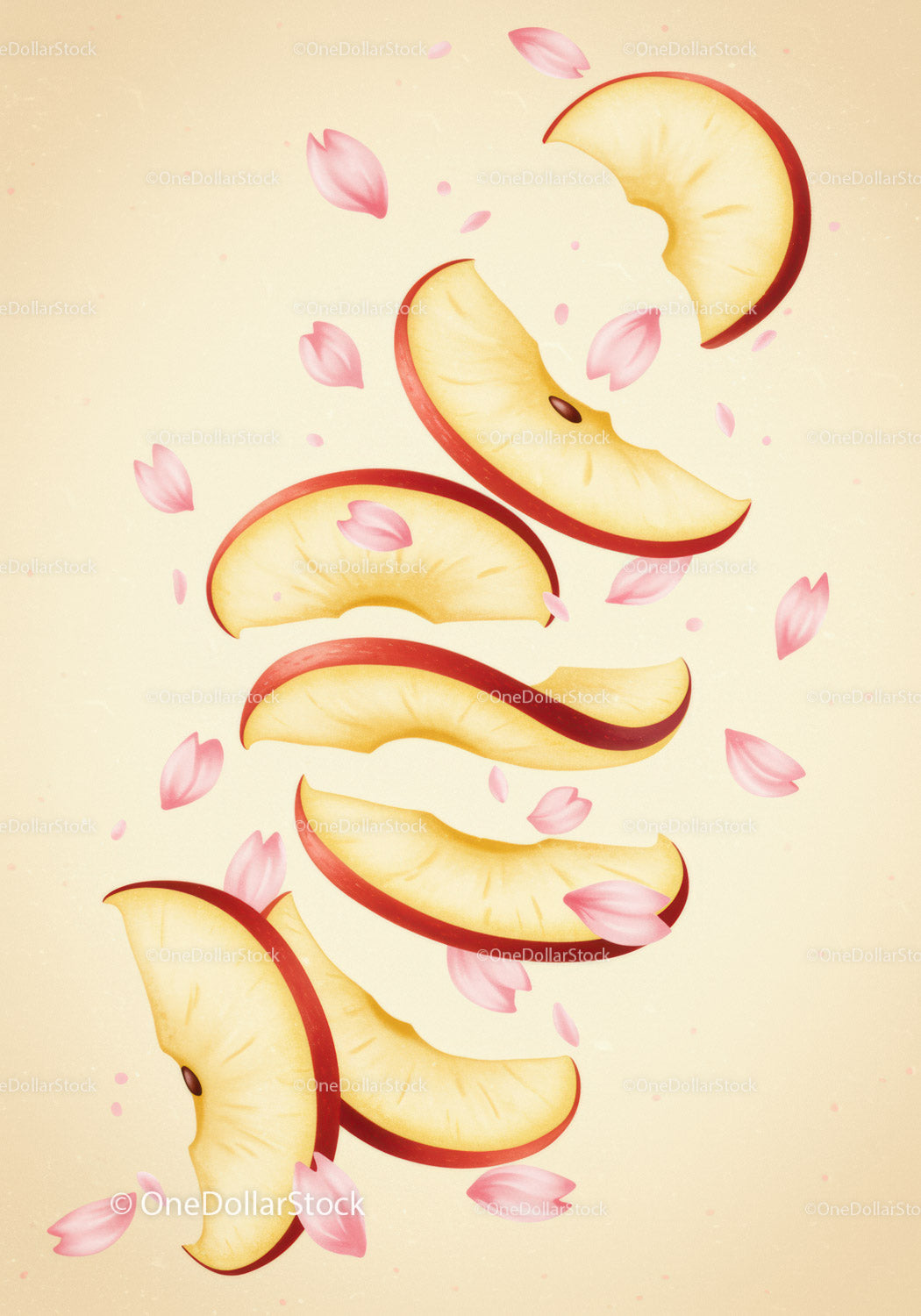Floating Red Apple Slices with Soft Pink Petals