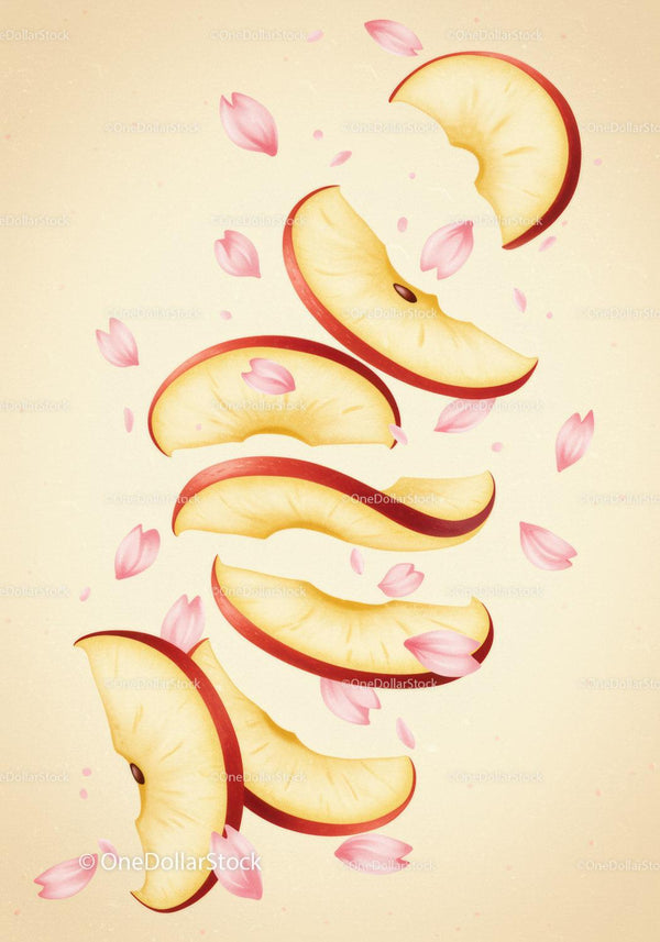 Floating Red Apple Slices with Soft Pink Petals