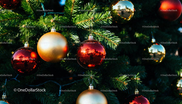 Holiday decorations hanging on lush green pine branches