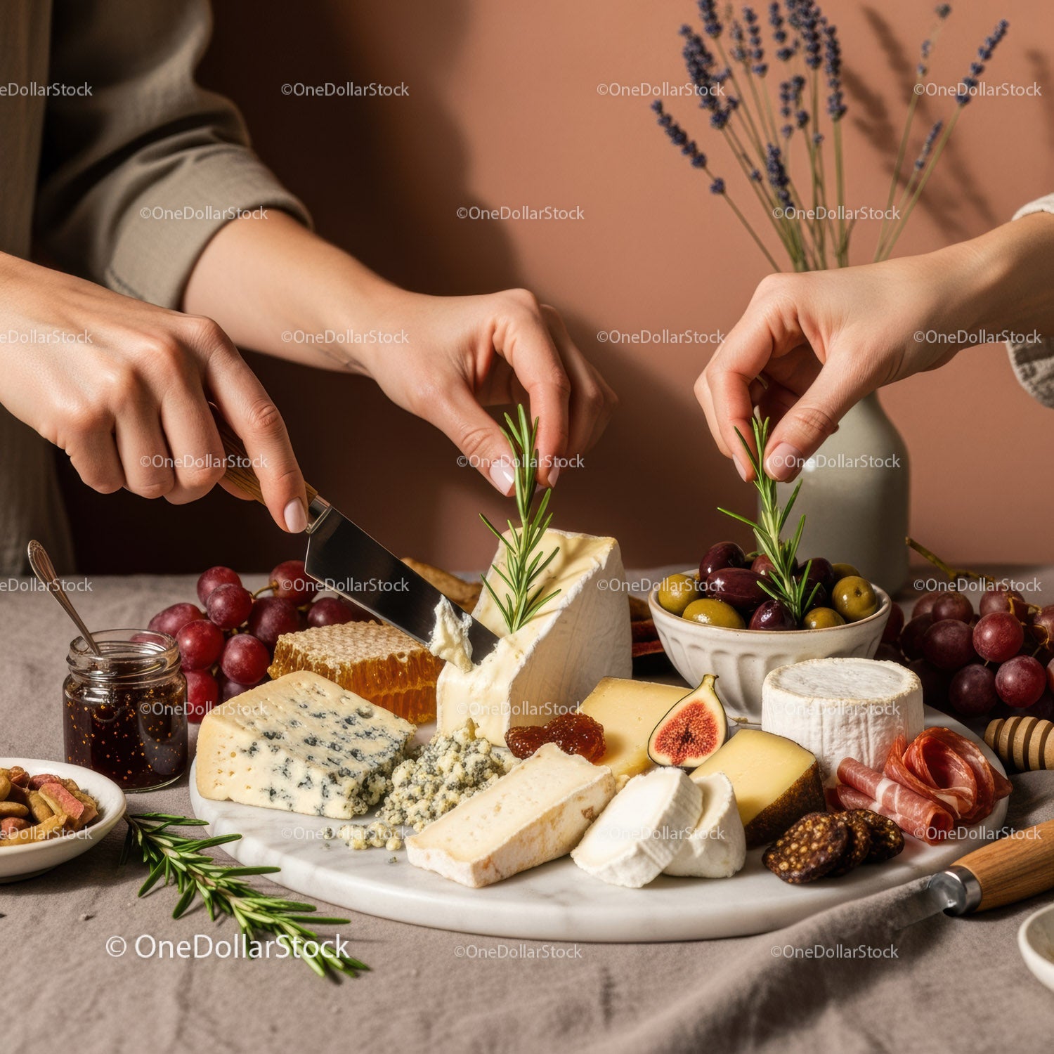 Elegant Cheese Platter with Grapes and Herbs for Gourmet Food Photography