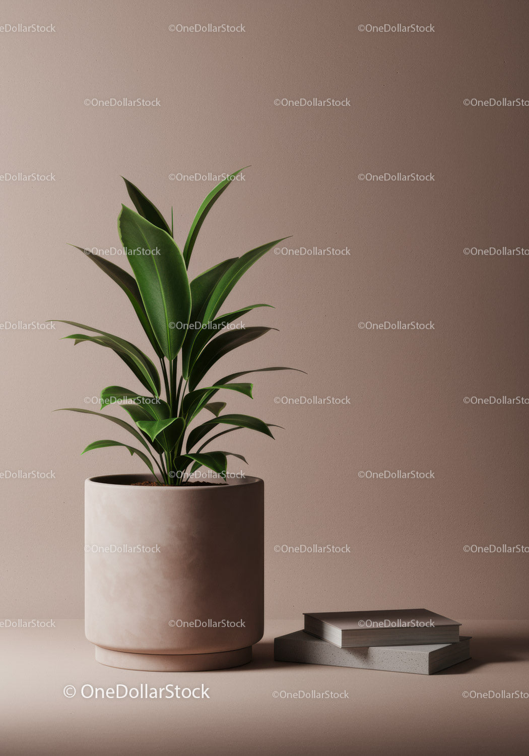 Green Indoor Plant in Large Pot with Minimalist Design