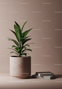 Green Indoor Plant in Large Pot with Minimalist Design