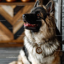 German Shepherd Dog Portrait with Furry Coat and Alert Expression