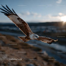 Majestic Sea Eagle in Flight Over Coastal Waters During Sunset