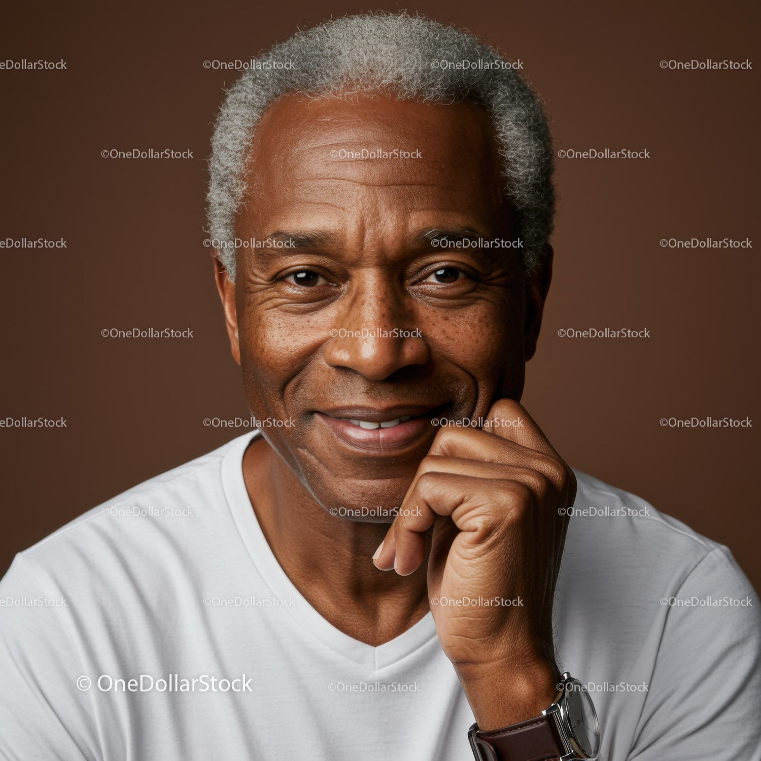 Confident Elderly Man Portrait with Gray Hair and Warm Smile