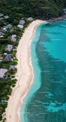 Tropical Beach with White Sand and Turquoise Ocean Overlooking Dense Greenery