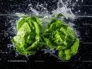 Fresh Green Lettuce Leaves Splashing Water in a Natural Environment